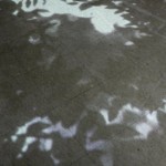 http://lms.lightizm.com/files/gimgs/th-76_71_Nostalgia1_v2.jpg