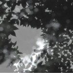 http://lms.lightizm.com/files/gimgs/th-76_71_Nostalgia2_v2.jpg